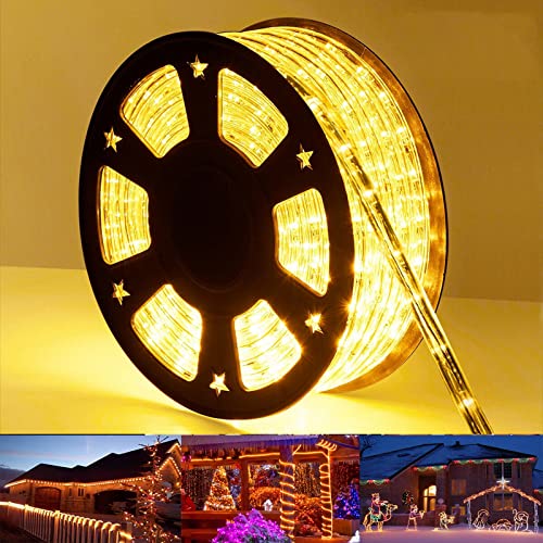 100ft LED Rope Lights Outdoor, 720 LED Connectable and Flexible Tube Lights with 8 Modes, Waterproof LED Rope Lighting for Garden, Patio, Pool, Bedroom, Party, Indoor Outdoor Decoration (Warm White) - color: Warm White, size: 100ft