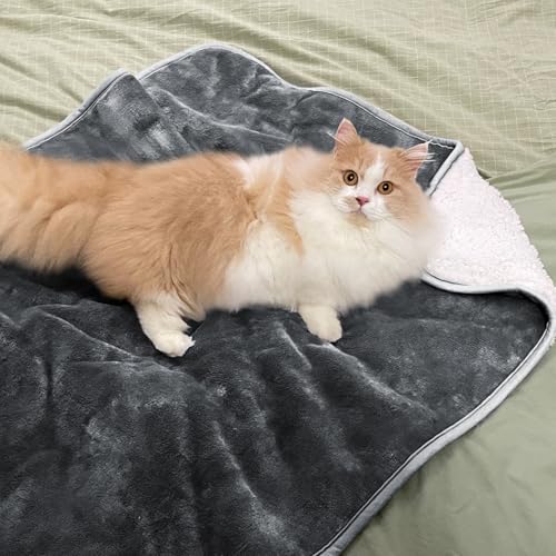 Waterproof Blanket for Bed Couch Sofa, Soft Liquid Pee Proof Pet Blanket for Dog Puppy Cat, Reversible Sherpa Fleece Furniture Protector (Dark Grey, 30x40 inches) - color: Dark Grey, size: 30x40 inches