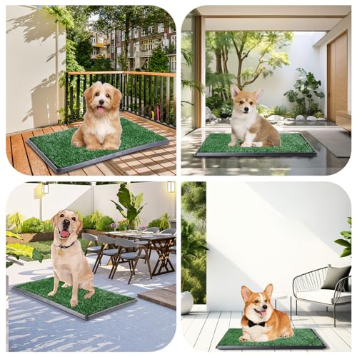 LOOBANI Dog Grass Pad with Tray - Dog Litter Box - Indoor Potty for Apartment and Patio Training - with 2 Packs Grass Pee Pads for Replacement, 16×20 Inch - size: Tray Potty 16*20inch