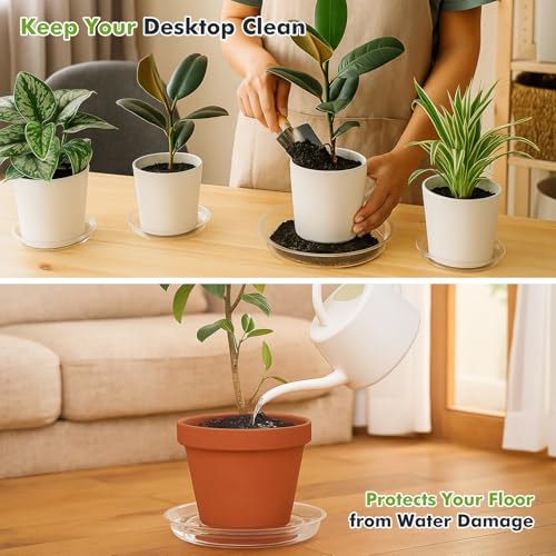 30 Packs 6 Inches Clear Plant Saucers for Indoor Outdoor Use Heavy Duty Plastic Plant Trays for Planter Bulk Flower Pot Drip Trays to Catch Water, 4 to 20 Inch - size: 6 Inches