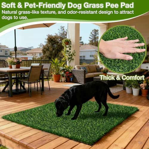 TOOKOO 2 Pack Fake Grass Pee Pad for Dogs Potty Traning - 31.5"x51.2" Replacement & Realistic Pet Artificial Grass Patch Turf Indoor Outdoor Use - size: 31.5inchx51.2inch - 2 Pack