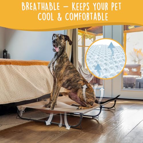 CANINE CANYON Daisy Cot, XL Foldable Elevated Dog Bed, Portable Raised Outdoor Folding Dog Cot, Cooling, Chew Proof, Waterproof, Heavy Duty Up to 160 lbs for Camping/Home, Brown, 49"x 33"x7" - color: Brown, size: X-Large