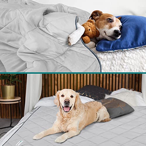 PetAmi Premium Cooling Dog Blanket | Lightweight Fluffy Pet Throw Blanket Bed Cover for Dogs, Cat, Puppies | Pet Blanket Furniture Protector Couch Sofa | Reversible Fuzzy Cozy | 60x80, Light Grey - color: Light Grey, size: X-Large (60x80)