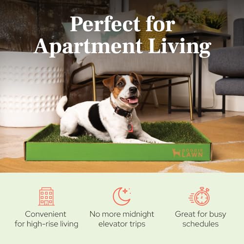 DoggieLawn Real Grass Puppy Pee Pads - Potty Training Pads for Dogs & Puppies - Indoor Grass Dog Potty for Apartments & Bad Weather - Natural Living Grass - Large 24 x 24 Inches - Made in USA - size: Large 24x24
