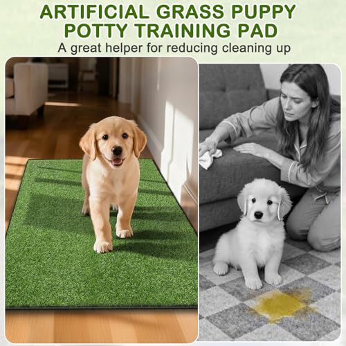 Artificial Grass for Dogs Potty, Reusable Pet Training Mat for Home and Travel, Washable Hemmed Edge Grass Pee Pad with Drainage Holes, Easy to Clean (31"x51") - size: 31"x51"