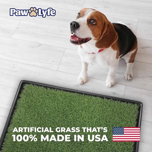 PawLyfe Potty Lawn - 20"x25" Artificial Grass Patch with Tray - Indoor and Outdoor Reusable Grass Pee Pad for Dog Training - Non-Toxic - Easy to Clean - Perfect for Apartments and on Balcony or Porch