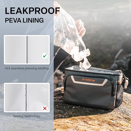 EVERFUN Small Compact Cooler Bag 24/48 Can Insulated Lunch Box Double Deck Soft Leak-Proof Waterproof Collapsible Ice Chest for Men Women Work Travel Car Trip Picnic Beach - color: Grey, size: Medium
