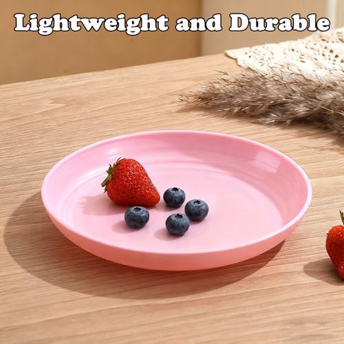 Wheat Straw Plates Unbreakable Dinner Plates Set of 6, Reusable Lightweight Plastic Plate for Camping Kitchen, Microwave and Dishwasher Safe (Pink) - color: 6 Pink