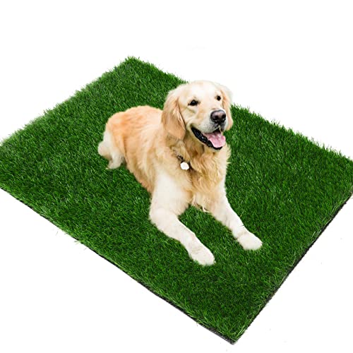 Grass Pad for Dogs 39.3 x 19.7 inches, Strong Absorbency Soft and Real Grass for Pets Potty Training, Easy to Clean Fake Grass for Dog Indoor Outdoor Use (1 Pack) - size: 39.4x19.7 Inch