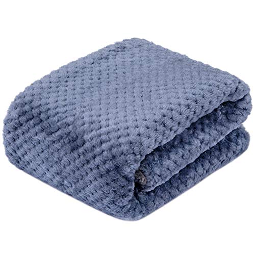 DG Plush Fleece Receiving Blanket for Dog, Cat, Pet - Warm & Soft, Couch, Sofa, Travel & Outdoor, Camping (24" x 32"), Smoked Blue - color: Dg-smoked Blue, size: Blanket (24" x 32")