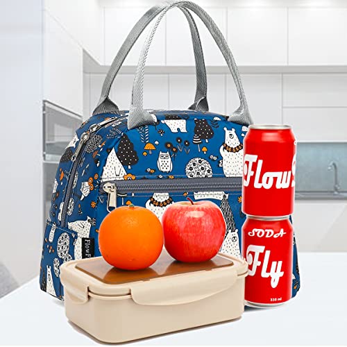 FlowFly Insulated Lunch Cooler Bag - Tote Bag Organizer for Women/Men, Owl - color: Owl