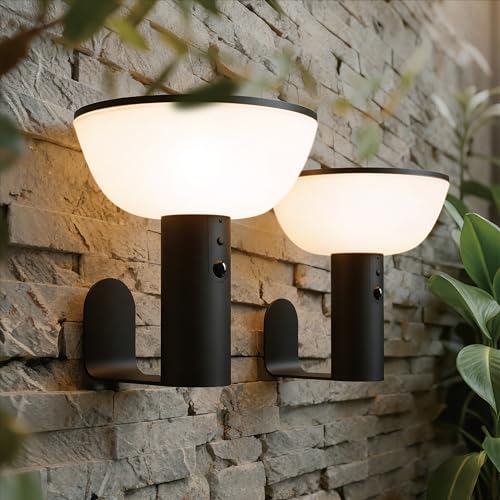 Basin Series - Solar Wall Lights - Solar Porch Lights for Outside - PIR Sensor & Three Lighting Modes - Rechargeable Battery Lasts Up to 35 Hours - 2700K - IP44 Weather Resistant - 2 Pack - size: 2 Pack Wall Lights