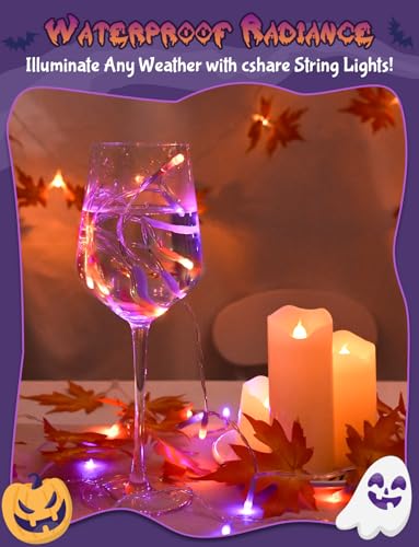 Cshare Halloween String Lights Battery Operated With Timer, Orange and Purple Outdoor 9.8ft 30LED, Decorations for Party Yard Pathway Indoor Outdoor - color: Orange & Purple