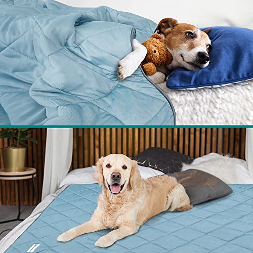 PetAmi Premium Cooling Dog Blanket | Lightweight Fluffy Pet Throw Blanket Bed Cover for Dogs, Cat, Puppies | Pet Blanket Furniture Protector Couch Sofa | Reversible Fuzzy Cozy | 24x32, Dusty Blue - color: Dusty Blue, size: Small (24x32)