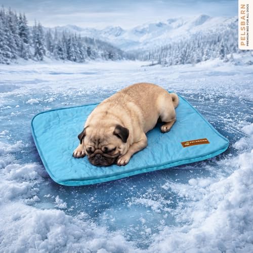 Pelsbarn Dog Cooling Mat- Ice Silk Summer Comfort, Self Cooling, Non-Slip Dog Pad, Durable & Washable, Mat for Small Dogs 18 x 21, Support Shelter Dogs with Every Purchase (Blue) - color: Light Blue, size: Small