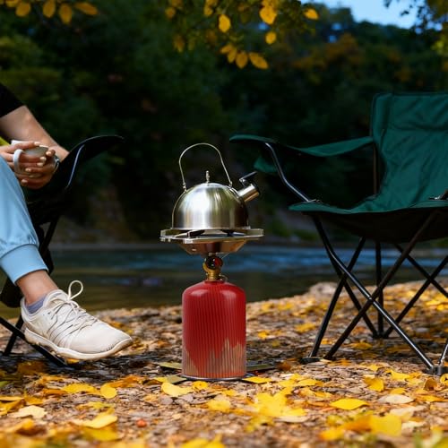 2-Pack 1LB Padded Propane Cylinder Storage Bag, Oxford Fabric Gas Tank Protective Bag, Mesh & Drawstring Design Mini Fuel Cylinder Organizer for Outdoor Camping, Hiking & RV Trips
