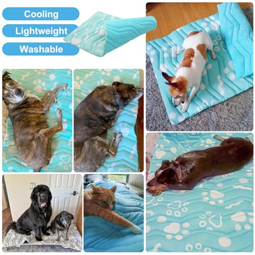 BEAUTYZOO Upgrade Dog Cooling Mat Extra Large, Reversible Self-Cooling Mat for Dogs, Thicken Pet Ice Cool Pad Blanket for Summer Kennel Sofa Bed Floor Car Seat, Machine Washable&Foldable, 59"x40" - color: Aqua Blue, size: 59.0"L x 40.0"W x 1.0"Th(XL)