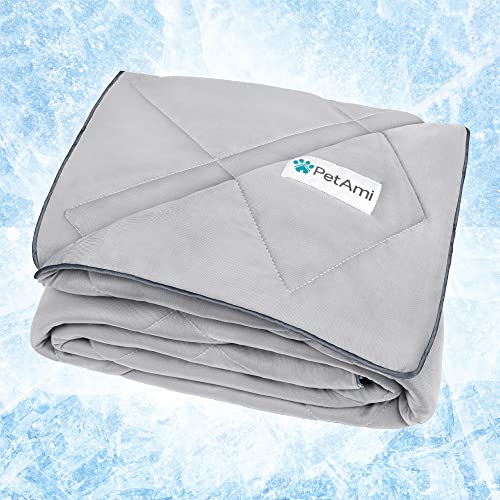 PetAmi Premium Cooling Dog Blanket | Lightweight Fluffy Pet Throw Blanket Bed Cover for Dogs, Cat, Puppies | Pet Blanket Furniture Protector Couch Sofa | Reversible Fuzzy Cozy | 29x40, Light Grey - color: Light Grey, size: Medium (29x40)