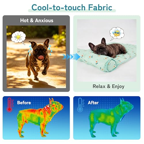 PUMYPOREITY Cooling Dog Bed, Pet Cooling Mat with Pillow, Ice Silk Cooling Dog Blanket, Self Cooling Pad for Cat,Dog, Washable Summer Pet Mat for Kennel, Crates, Sofa, Floor, Green, S - color: Green, size: Small