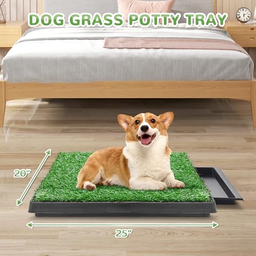25" x 20" Dog Grass Pad with Tray, 3PCS Washable Artificial Grass Pee Pads for Indoor Dog Potty, Portable Reusable Pet Toilet for Small/Medium Dogs, 3-Layer System - size: M 25x20x3.2IN-3 Grass Pads