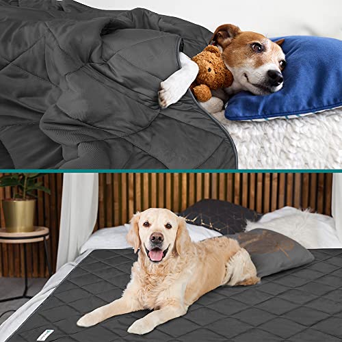 PetAmi Premium Cooling Dog Blanket | Lightweight Fluffy Pet Throw Blanket Bed Cover for Dogs, Cat, Puppies | Pet Blanket Furniture Protector Couch Sofa | Reversible Fuzzy Cozy | 60x80, Grey - color: Grey, size: X-Large (60x80)