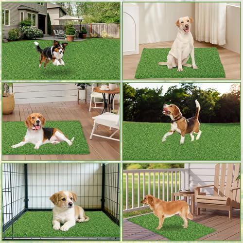30 x 20 inches 2 Pack Fake Grass Pee for Dogs Artificial Grass Rug Pad for Puppy Potty Washable Grass Mat for Pet Training with Drainage Hole - size: 30 x 30 Inch (Pack of 2)