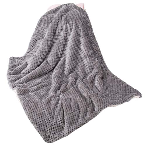 DW-Flint Gray Plush Fleece Receiving Blanket for Dog, Cat, Couch, Sofa, Travel and Outdoor, Camping (24" x 32") - color: Dw-flint Gray, size: Blanket (24" x 32")