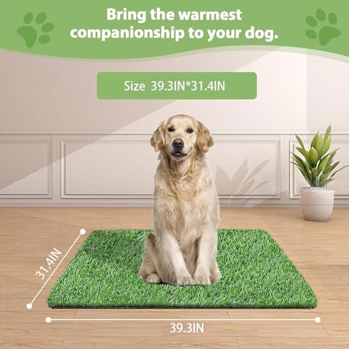 Artificial Grass for Dogs Pee Tray Fake Grass Mat for Professional Puppy Potty Trainer Replacement Dog Grass Pad for Indoor and Outdoor 29.1 x 21.1 Inch (Pack of 1)
