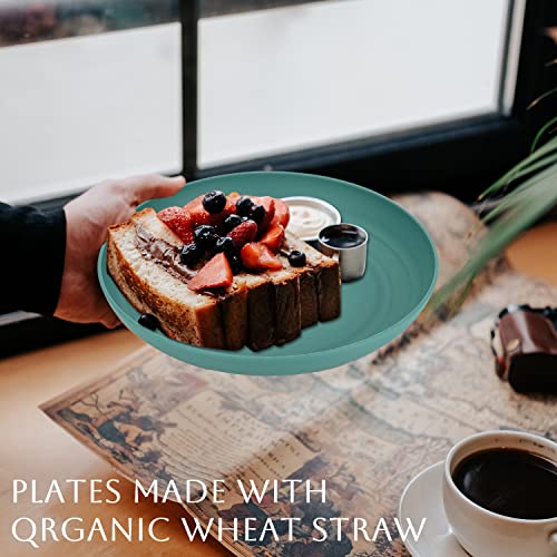Homienly Dinner Plates, Deep Plate Set, Alternative to Plastic Plates, Microwave and Dishwasher Safe Wheat Straw Plates for Kitchen, Camping, Unbreakable Plate with 6 Colors, Set of 6 (9 Inch, Multi) - color: 6 PCS Multi color, size: 9 IN