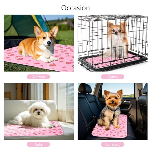 DELIFUR Cat Cooling Mat- Pet Cooling Mat Outdoor for Dogs Ice Pad for Kitten Cat Puppy Machine Washable (Medium, Pink Watermelon) - color: Pink Watermelon, size: M: 27.5" x 19.5"