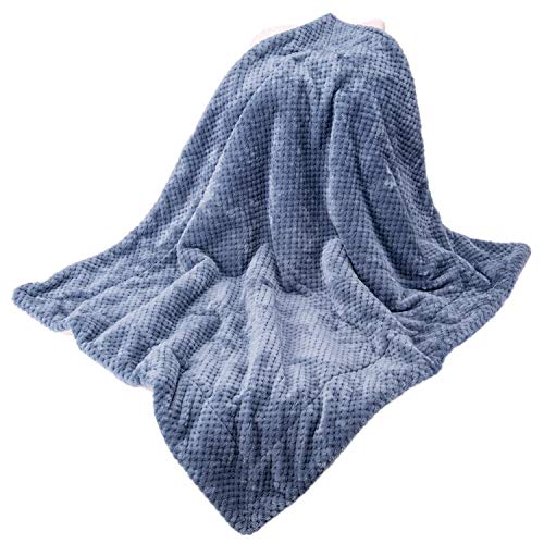 DW Plush Fleece Receiving Blanket for Dog, Cat, and Pet - Warm and Soft, Couch, Sofa, Travel and Outdoor, Camping (24" x 32", Smoked Blue) - color: Dw-smoked Blue, size: Blanket (24" x 32")