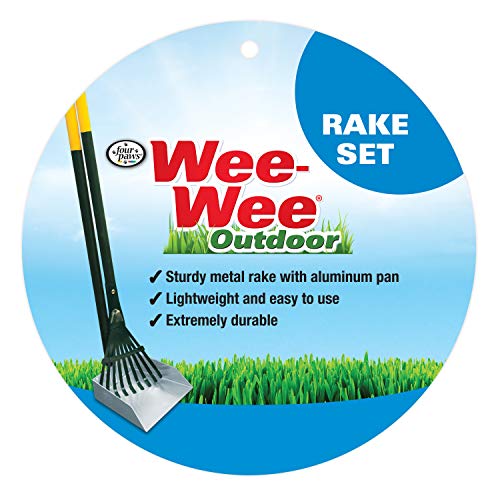 Four Paws Stainless Steel Long-Handled Dog Pooper Scooper Rake & Pan 2 Piece Set, Pet Waste Pickup Tool, 38" x 7" - size: Small, 7" x 7" x 38", style: Rake & Pan Set