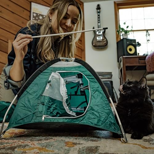 Tiny Tents - color: Alpine Green