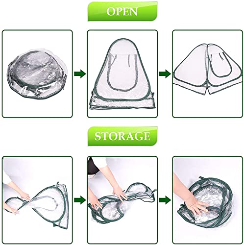 Lyellfe Pop Up Greenhouse Cover, PVC Mini Greenhouse with Nails, 28" x 28" x 34" Clear Portable Backyard Gardening Flower Sunshine Tent Room for Indoor Outdoor Plant, Cold Frost Protector