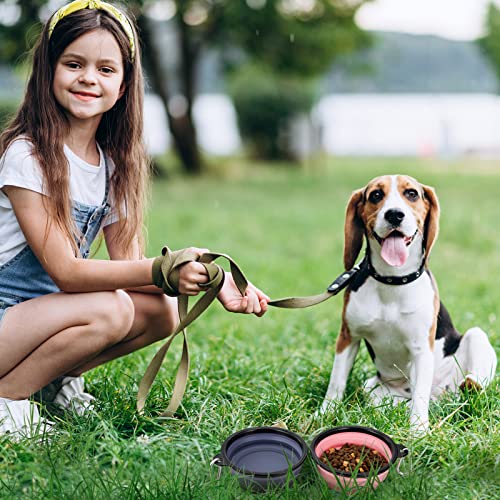 Dog Bowl Pet Collapsible Bowls, 2 Pack Collapsible Dog Water Bowls for Cats Dogs, Portable Pet Feeding Watering Dish for Walking Parking Traveling with 2 Carabiners (Small, Purple+Fairy Pink) - color: Purple+Fairy Pink, size: Small