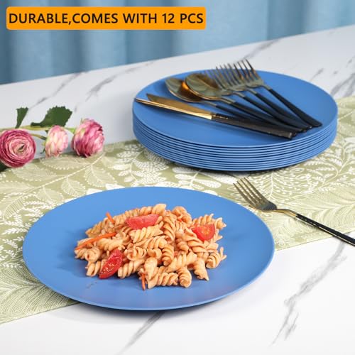 12-Pack 9.8 Inch Plastic Salad plates,Lightweight Unbreakable Dinner plate for Daily Use, Microwave & Dishwasher Safe Plates,Plastic Plates for Camping, Outdoor, food, Fruit (Blue) - color: Blue, size: 9.8 Inch