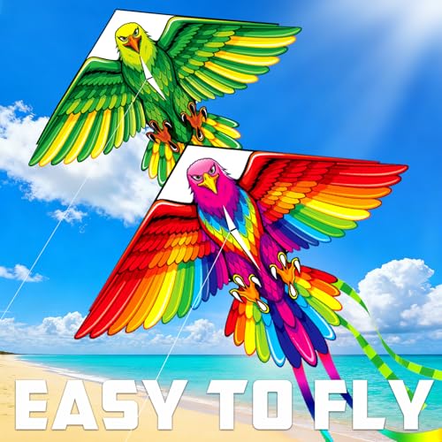2 Pack Patriotic Eagle & Dragon & Butterfly Kite for Kids and Adults, Easy to Fly Huge Kites for Kids Ages 4-8 8-12 with 328FT String for Beach Park Easter Gift Outdoor Games and Activities - style: 2 Pack M-Eagle Kites