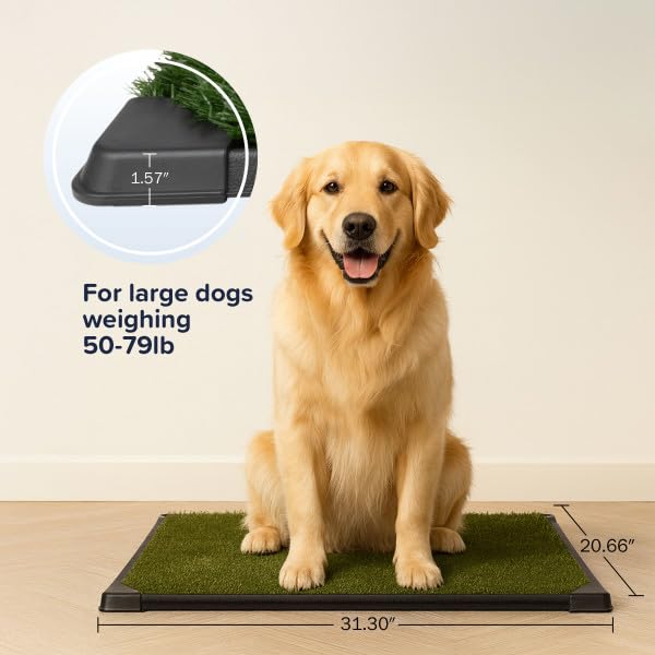 Artificial Grass Puppy Pee Pad for Dogs and Small Pets - 20x30 Inch, Reusable 4-Layer Turf Pads for Dogs with Tray - Indoor and Outdoor Fake Grass Potty Pet Supplies by PETMAKER - size: Large 4-layer System