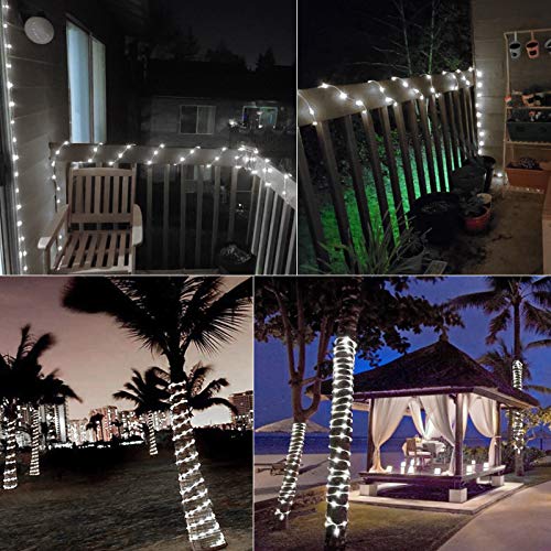 Brightown 2-Pack 39FT 100LED Solar Rope Lights, Solar Outdoor Lights IP65 Waterproof Solar Powered Fairy Lights with 8 Lighting Modes for Party Garden Yard Home Holiday Tree Decoration, Pure White - color: Pure White, size: 100 LED 2PACK