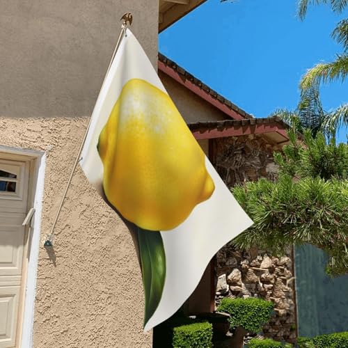 Lemon Flag 2 X 3 Ft Double Sided Vertical Garden Flag Seasonal Holiday Banner With Brass Grommets Photo Backdrop Yard Flag For Outdoor Indoor Home Decor - color: Lemon