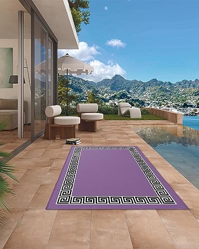 Outdoor Rug 4'x6' for Patio Clearance Large Outside Rug Chenille Patio Rugs Indoor Outdoor Carpet Modern Minimalist Chinese Pattern Purple Area Rugs for Camping Porch Deck Balcony - color: Patternidt2035, size: 4' x 6' (Rectangular)