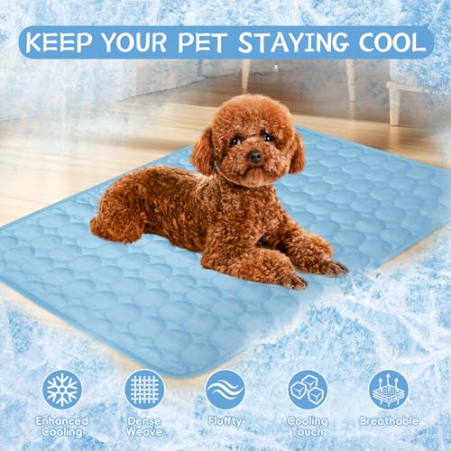 Dog Cooling Mat,2025 Upgrade Pet Cooling Mat for Dogs Cats,Summer Ice Silk Cool Mats & Sleeping Pad for Indoor or Outdoor,Perfect as Blanket for Kennel Sofa Bed Floor Car (Blue, Medium, 23.6"x19.3") - color: Blue, size: Medium