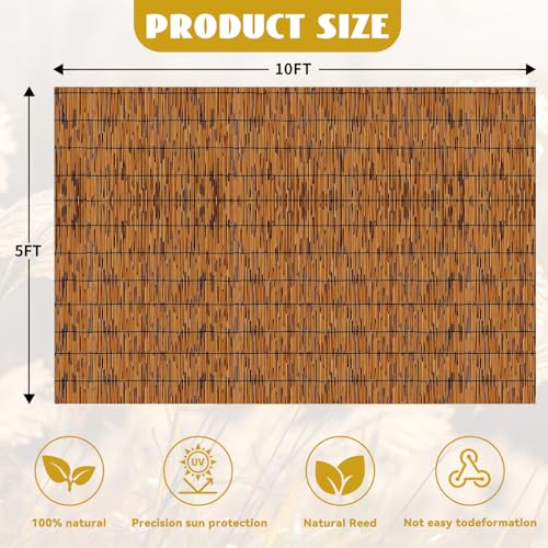 KOIUEYW Bamboo Reed Fencing, Light Russet Bamboo Screens Outdoor, Decorative Privacy Screen Reed Curtains for Patio Balcony Garden Backyard, 5 x 10 FT - color: Light Russet, size: 5 x 10 FT