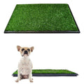Downtown Pet Supply Dog Grass Pad with Tray, 16 x 20 - Outdoor and Indoor Potty System for Dogs with Replaceable Synthetic Grass Pee Turf - Portable and Waterproof Turf Dog Potty - size: 16" x 20"