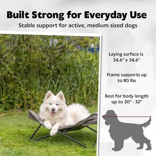 TRIXIE Camping Cot for Medium Dogs, Elevated Pet Travel Bed 34.6" x 34.6", Support Breeds up to 80 lbs, Portable Steel Frame Lounger with Cushioned Removable Topper, Foldable Design - size: Medium
