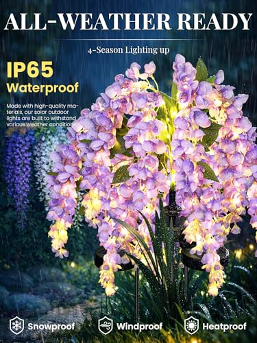 GIGALUMI Solar Lights Outdoor for Garden Decor, 3 Pack Solar Flower Lights Waterproof, 2 Lighting Modes Wisteria for Pathway,Yard, Patio Decoration, Gardening Gifts for Women (Purple) - color: Purple
