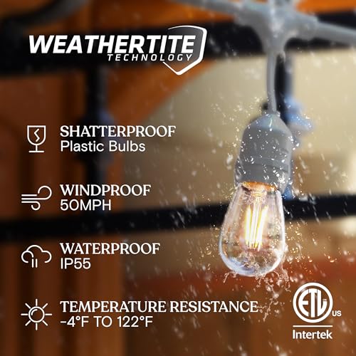 Brightech Ambience Pro Waterproof LED Outdoor String Lights, 48 Ft, Hanging, Dimmable Vintage Edison Bulbs, 15 Bulbs, 2W - style: 48 Foot - White Cable - Soft White (2700K)