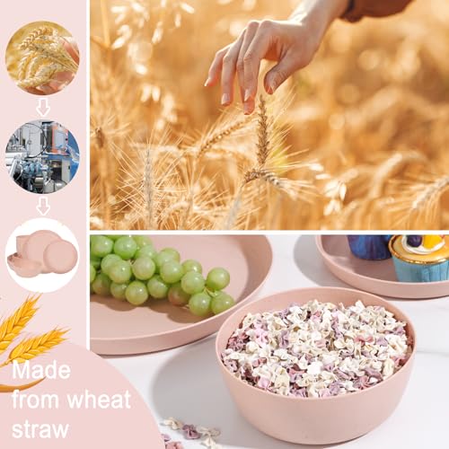 EI 12pcs Pink Wheat Straw Plates,Wheat Straw Dinnerware Set for 4,Plates and Bowls Sets,Plastic Plate Reusable,Unbreakable Plastic Plate Melamine,Camping Family Dishes Set - color: Pink Wheat Straw Plates and Bowls
