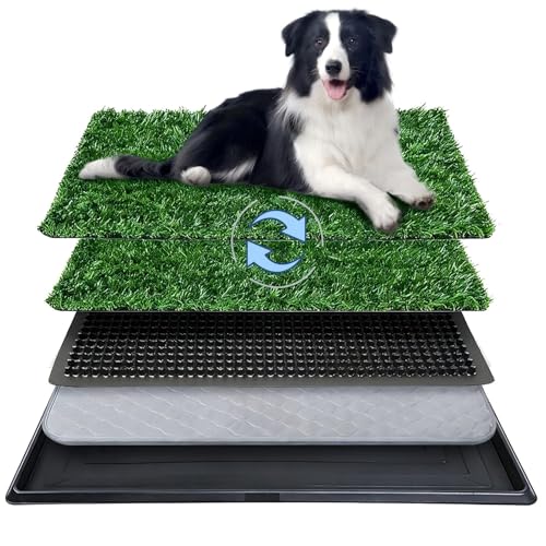 Dog Grass Pad with Tray,20"x30" Dog Litter Box, Artificial Turf Potty System with 2 Reusable Grass Patches + Washable Pee Pads, Portable Indoor Outdoor for Balcony Patio Apartment - size: Large-2 Grass Pad with Changing pad