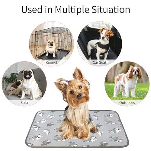 DELIFUR Cat Cooling Mat- Pet Cooling Mat Outdoor for Dogs Self Cooling Pad for Kitten Cat Puppy Machine Washable (Small, Grey Shark) - color: Grey Shark, size: S: 19.5" x 15.5"